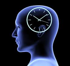 clock brain